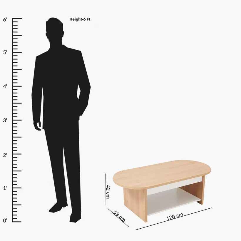 Coffee table size view: 120x59x42cm with light wood oval top and open shelf.